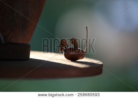 Handmade Mouse Acorn Nature Forest Day Light