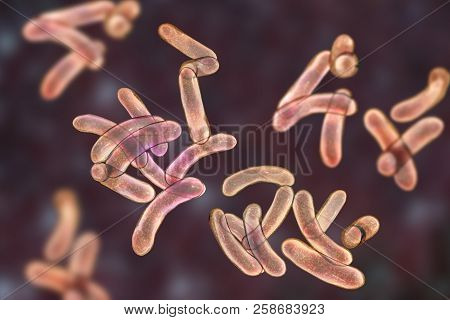 Vibrio Cholerae Bacteria, 3d Illustration. Bacterium Which Causes Cholera Disease And Is Transmitted