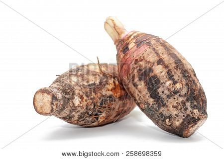Close Up Of Taro On White Background