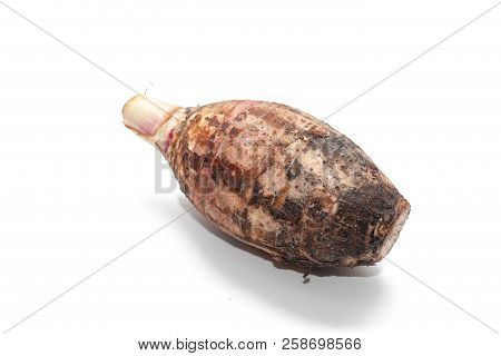 Close Up Of Taro On White Background