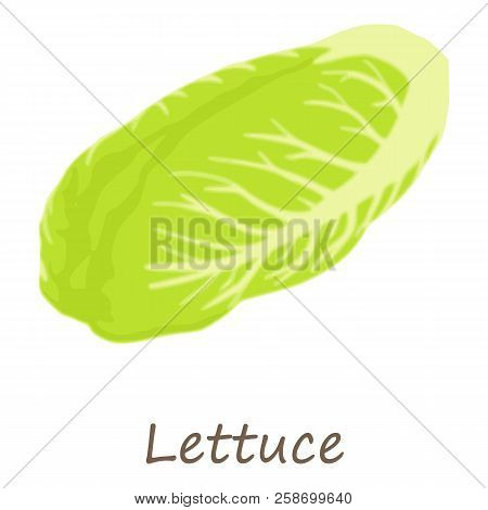 Lettuce Icon. Isometric Of Lettuce Icon For Web Design Isolated On White Background