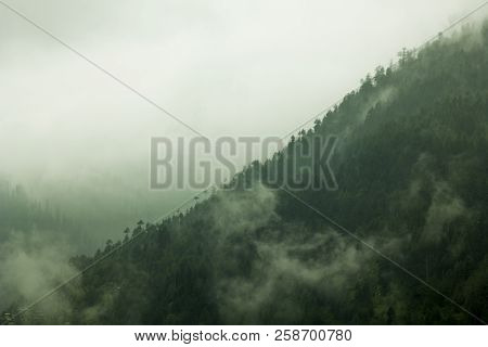 Green Slope Of Mountain Forest In The Fog