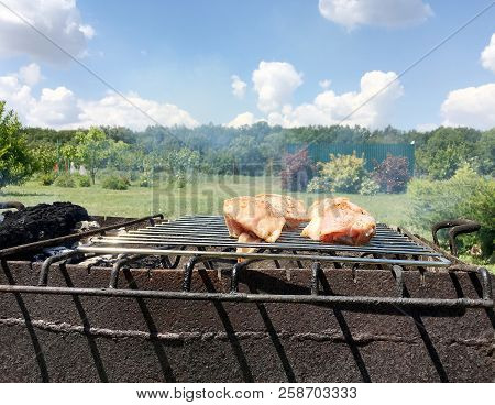 Beautiful Tasty Food From Slice Grilled Chicken Meats, Roast On Metal Brazier. Meat Of Bird With Cri