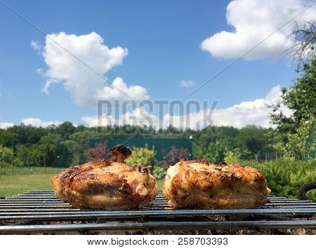 Beautiful Tasty Food From Slice Grilled Chicken Meats, Roast On Metal Brazier. Meat Of Bird With Cri
