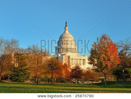 Capitol Building in autunno con alberi gialli, gli Stati Uniti Washington DC
