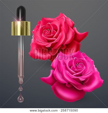 Pipette With Rose Oil On A Background Of Bright Red Roses, Vector Illustration In Realistic Style