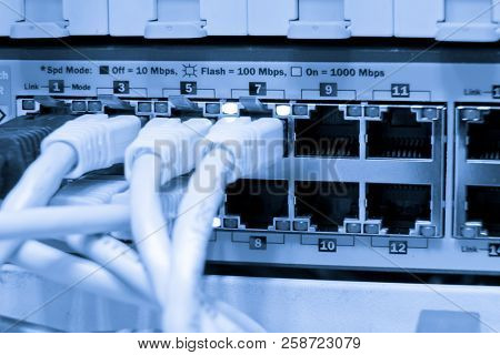 ethernet cables maze connected to switch