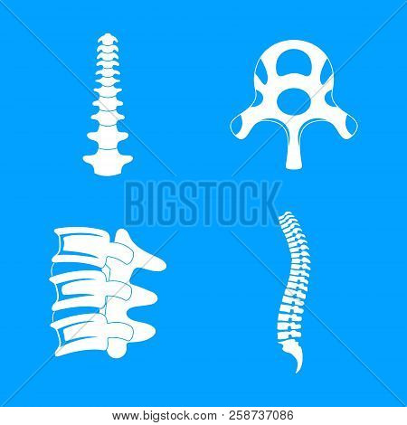 Spine Orthopedic Vertebra Icons Set. Simple Illustration Of 4 Spine Orthopedic Vertebra Vector Icons