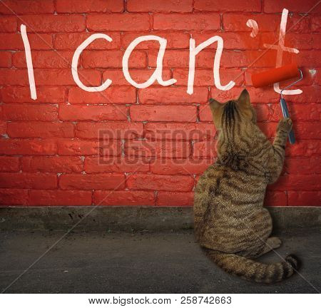 Cat Changing The Word