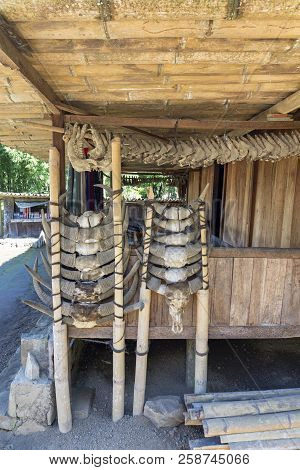 Animal Skulls Used For Ritual Sacrifice On The Front Porch Of A Traditional House In Bena, Indonesia