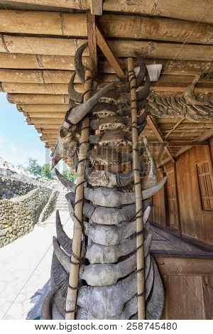 Water Buffalo Skulls On Display In The Bena Traditional Village In Flores, Indonesia.