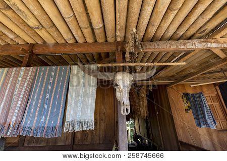 A Large Buffalo Skull And Woven Fabric At The Bena Traditional Village In Flores, Indonesia.
