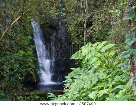 Teče vodopád v zahradě