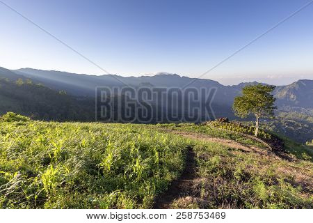 A Lone Tree Next To God Rays In A Valley At The Foot Of Mount Inerie, Flores.