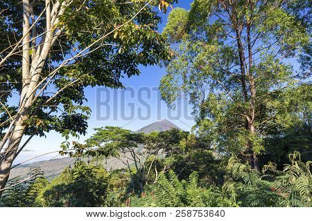 Lush Trees In The Front Of The Mount Inerie Volcano On Flores Island In Indonesia.
