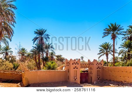 View On Oasis In The Sahara Desert Of Morocco