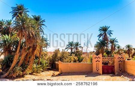 View On Oasis In The Sahara Desert Of Morocco