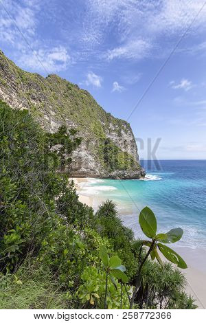 Tropical Plants Just Above Kelingking Beach In Nusa Penida, Indonesia.