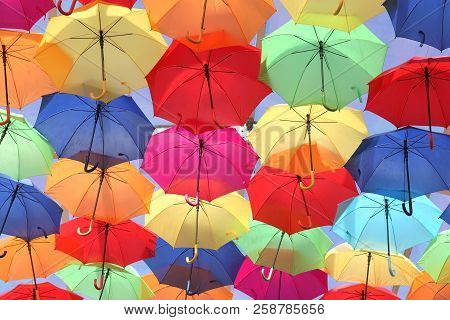 Umbrellas