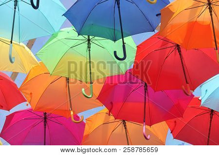 Umbrellas