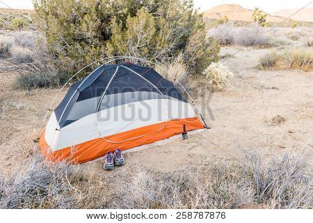Wilderness Backpacking Campsite Off Stubbe Springs Loop In Joshua Tree National Park, California