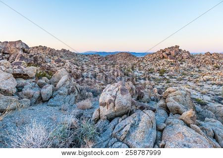 Dusk In The Porcupine Wash Wilderness Area In Joshua Tree National Park, California