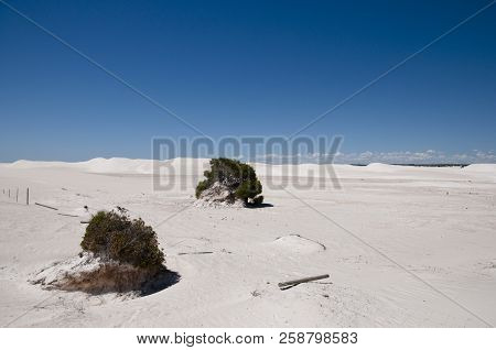 White Desert - Lancelin - Western Australia
