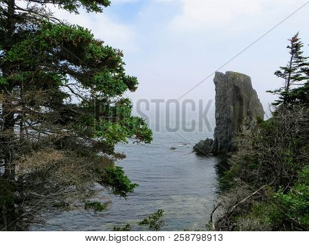 Admiring The Beautiful Sights Of The Skerwink Trail Outside Of Trinity, Along The Rugged Coasts Of N