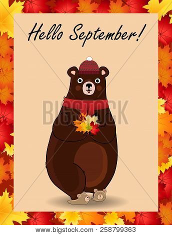 Vector Cartoon Character Illustration Of Cute Bear In Red Knitted Scarf And Hat Holding Maple Leaves