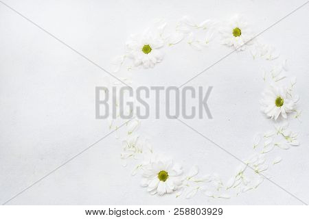 Daisy Wreath On White Background. Herbera Flowers In A Circle. Minimalist Monochrome Natural Decor. 