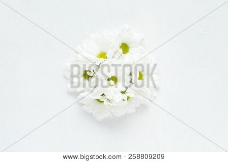Daisy Bouquet On White Background. Tender Herbera Floral Composition. Copy Space Concept