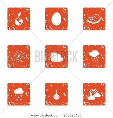 Conservation Icons Set. Grunge Set Of 9 Conservation Icons For Web Isolated On White Background