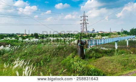 Beautiful Kans Grass Blooming Overlooking A Power Plant Industry.