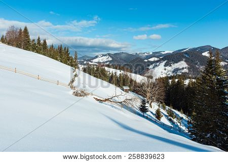 Winter  Morning Picturesque Mountain Hill Top With Farmstead Snow Covered And Some Withered Windbrea