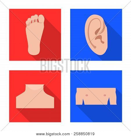 Isolated Object Of Human And Part Logo. Collection Of Human And Woman Stock Symbol For Web.