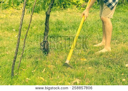 Man Working With Hoe In Garden Under Tree On Lawn