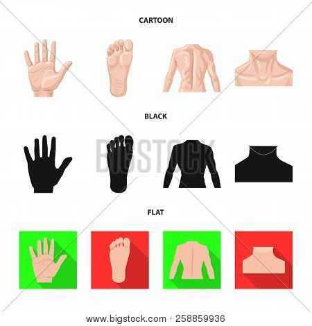 Vector Design Of Human And Part Icon. Set Of Human And Woman Stock Vector Illustration.