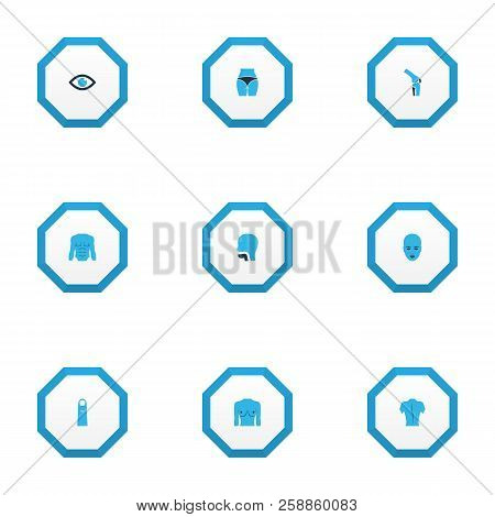 Part Icons Colored Set With Butt, Chest, Face And Other View Elements. Isolated  Illustration Part I