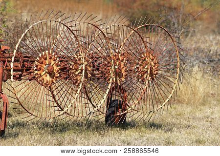Rusty Wheels Of An Old Tedder In A Row, On Dry Grass