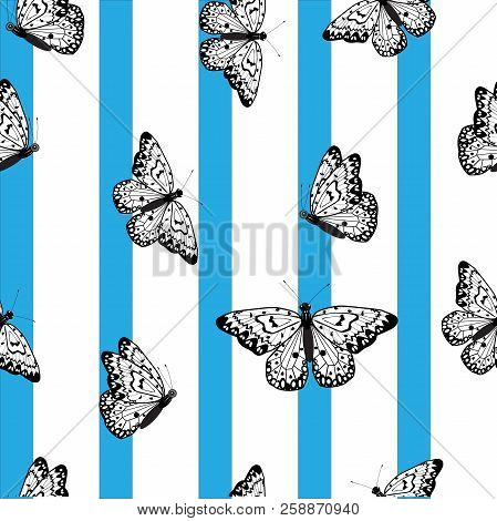 This Is An Amazing Black Butterfly On A White Background With Blue Stripes. This Is A Seamless Patte