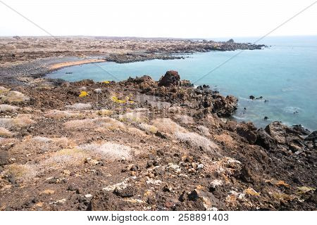 View Of The Coast Of Lanzarote Formed Mostly By Cooled Lava During A Sunny Day.