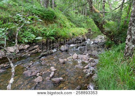 Plodda Falls Is A Waterfall 5 Km Southwest Of The Village Of Tomich, Near Glen Affric, In The Highla