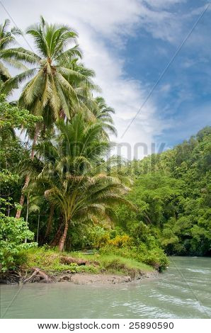 Una curva di un fiume nella giungla tropicale