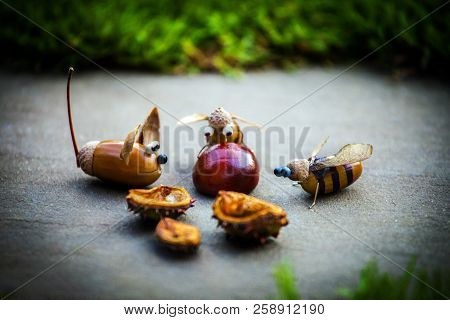 Handmade Mouse Bee Acorn Forest Chestnut Autumn Season