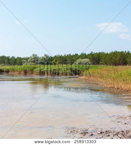 Summer Pryschukove Dark Brownish-red Iodine Lake With A Therapeutic Effect Thanks To The High Conten