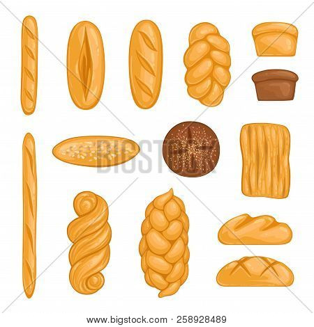 Set Of Bakery Products. Bread, Loaf, Hala, Baguette And Rye Bread In Cartoon Style. Vector Illustrat