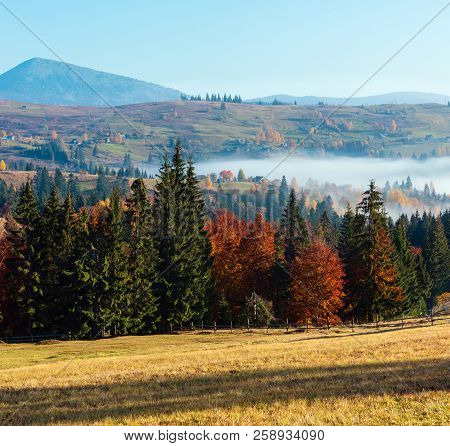 Morning Fog On The Autumn Slopes Of Carpathian Mountains (yablunytsia Village, Ivano-frankivsk Oblas