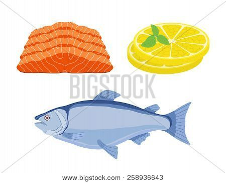 Vector Salmon Set - Fish With Pieces Of Seafood And Slices Of Lemon. Fresh Fish From Sea, Orange Fil