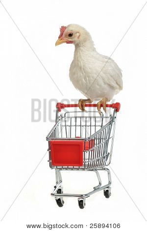 Pollo con carrito, sobre fondo blanco