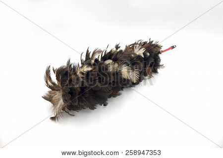 Feather Dust Panicle Photo On White Background. Housekeeping Tool Studio Photo. Duster With Natural 